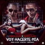 Trebol Clan Ft. Ñengo Flow - Voy A Hacerte Mia MP3